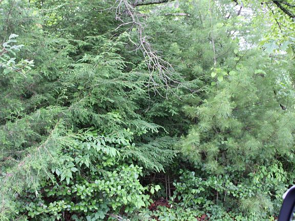 2nd image of 0 Holly Tree Road Vaughan Ave