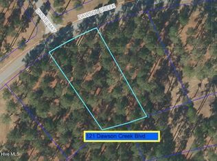 212 Dawson Creek Boulevard, Arapahoe, NC 28510