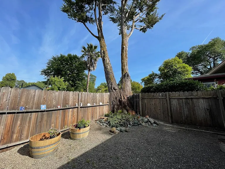 8080 Mirabel Ave #B — Photo 3