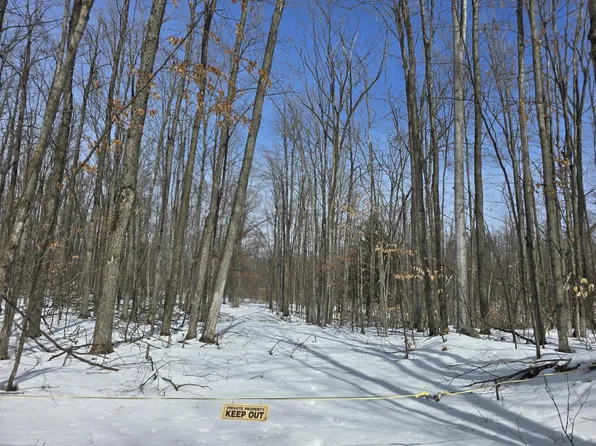 3037 N Weaver Rd, Fairview, MI 48621