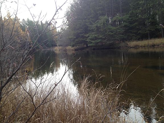4th image of Speckled Trout Trl