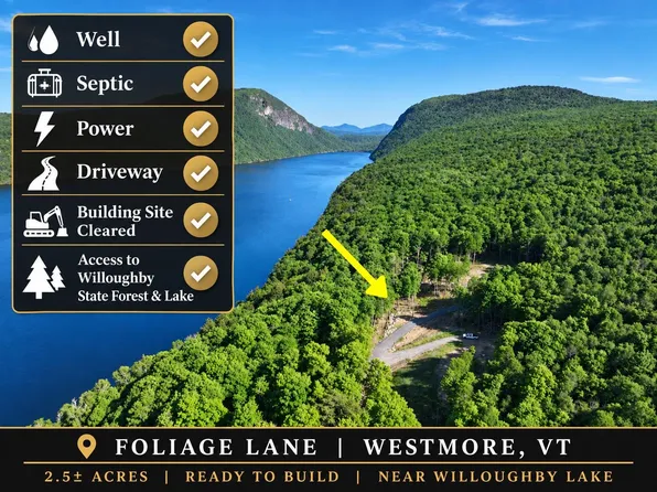 - Foliage Lane Lot 1B, Westmore, VT 05822