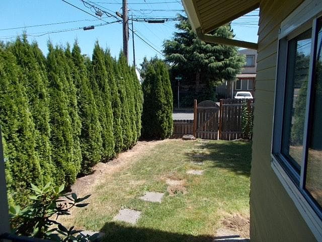 pathway to side yard