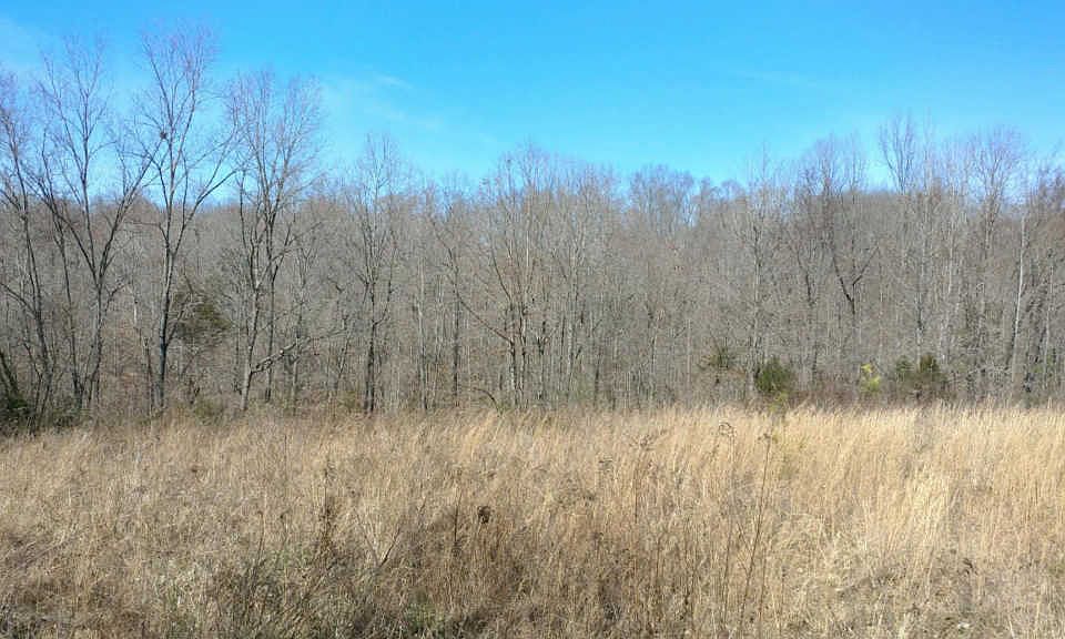 2nd image of 2373 Mockingbird Hill Rd