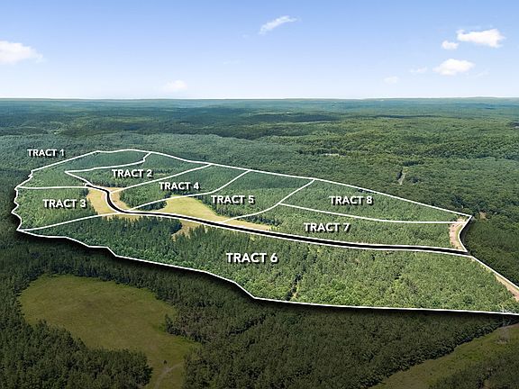 3rd image of 1420 Big Swan Creek Rd Tract 3