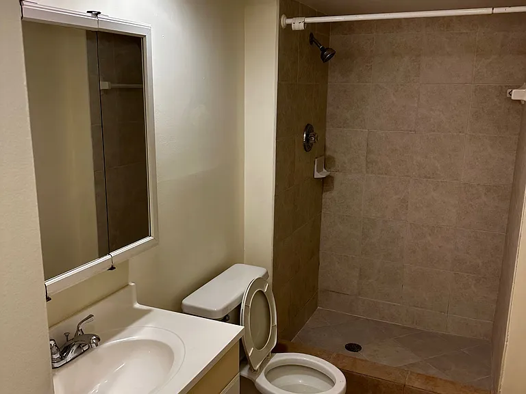 Master bathroom shower