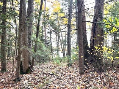 309 Quinns Hill Road, Killingly, CT, 06241