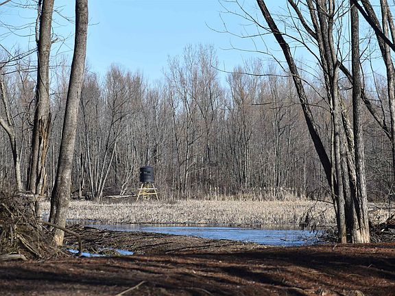 4th image of 4591 Delta View Rd