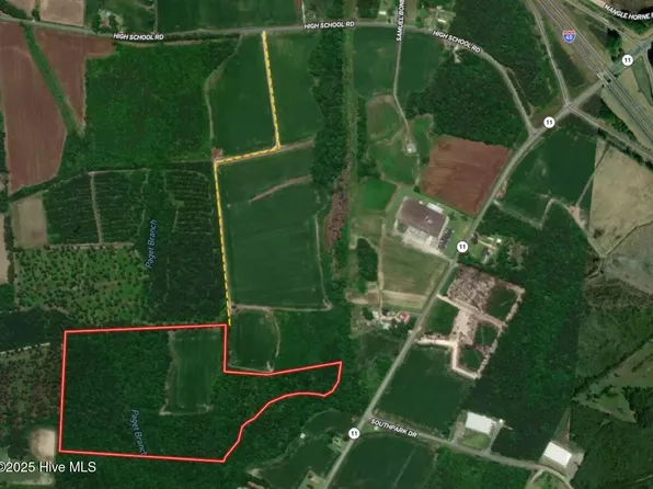 41.5 Acres High School Road, Teachey, NC 28464