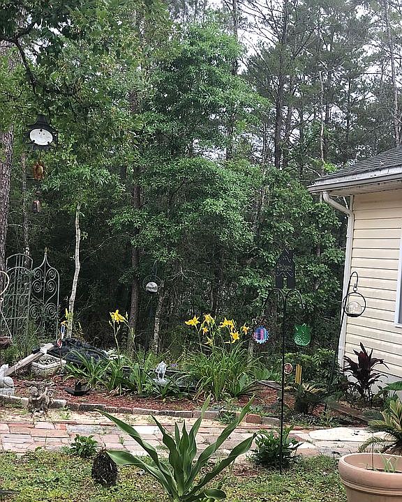 Front yard update 