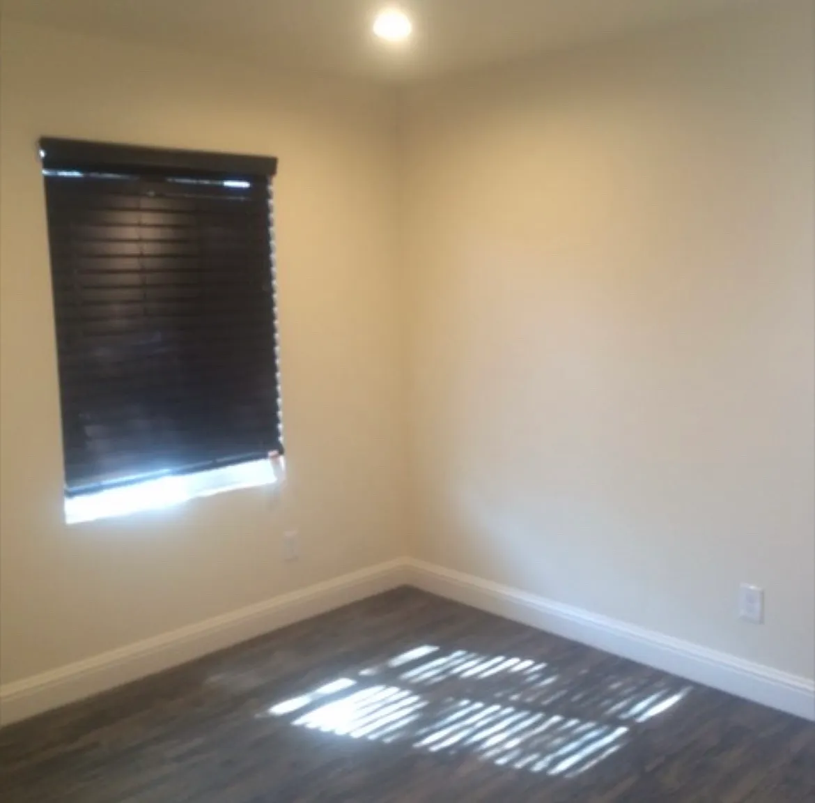 1 bed, 400 sqft, $1,800 — Photo 3