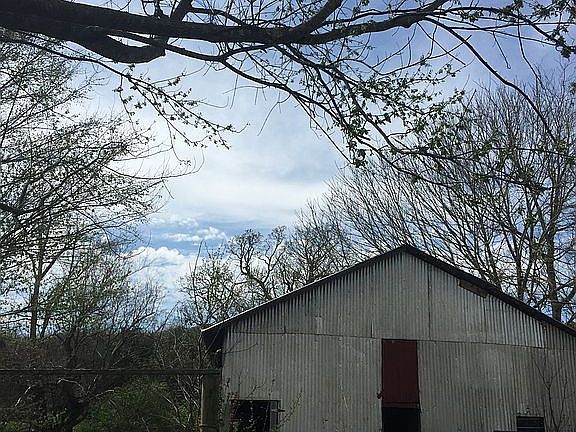 Barn preserved under tin