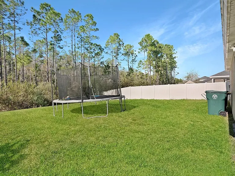Backyard with preserve view.