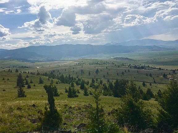 5th image of Mustang Trl