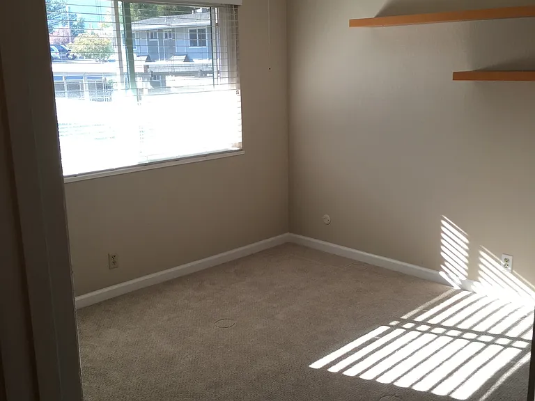 394 Ilo Ln #803 — Photo 13