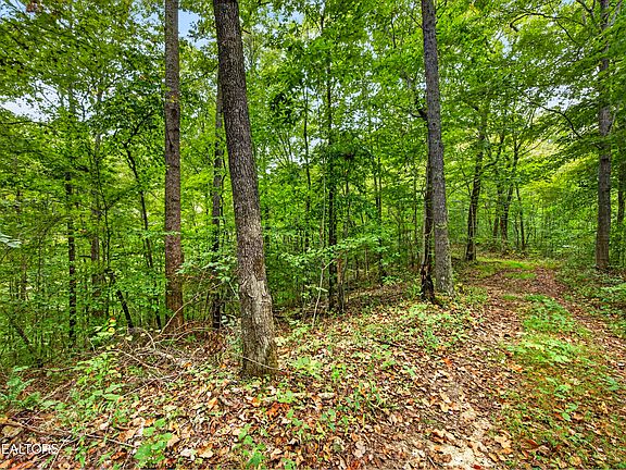 5th image of 26 Timber Ridge Ln