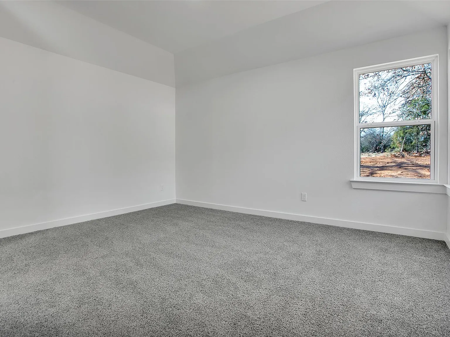 4 bed, 1590 sqft, $2,250 — Photo 4