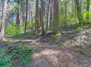 3005 Amber Trl, Pollock Pines, CA 95726