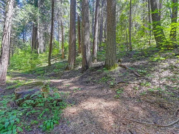 3005 Amber Trl, Pollock Pines, CA 95726