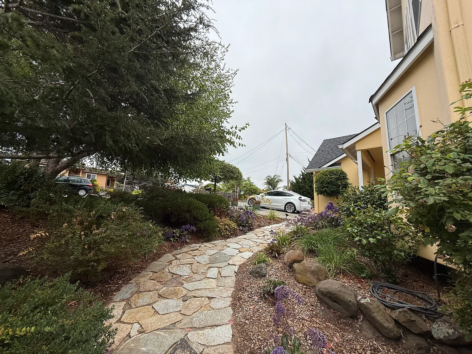 1153 Buena St — Photo 4