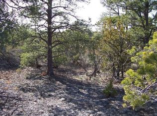 3628 Meadow Wood Dr, Happy Jack, AZ 86024
