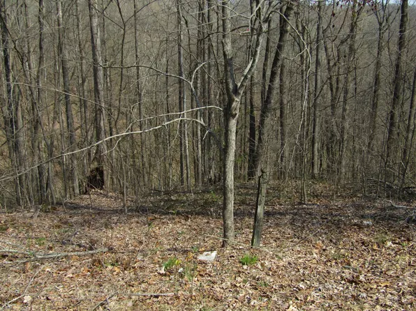 0 Hunter's Landing Ln Lot 28, Smithville, TN 37166