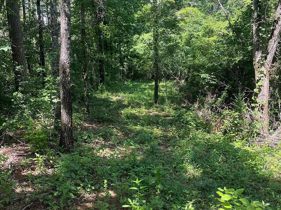 1st image of 385 Carr Rd