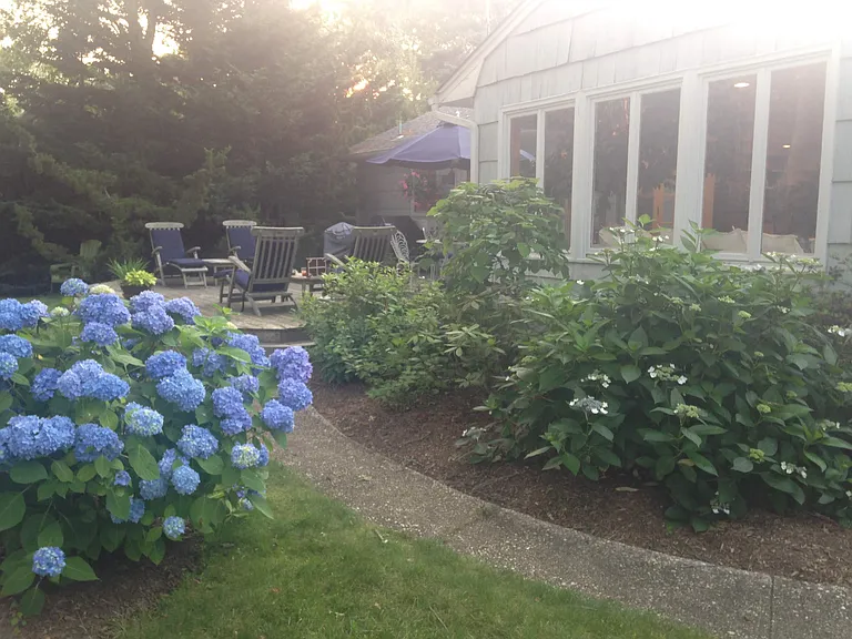 36 Lynn Ave — Photo 18