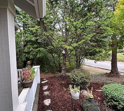Front Yard