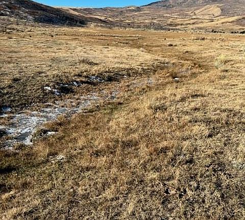 5th image of 142 Colorado Land Grazing