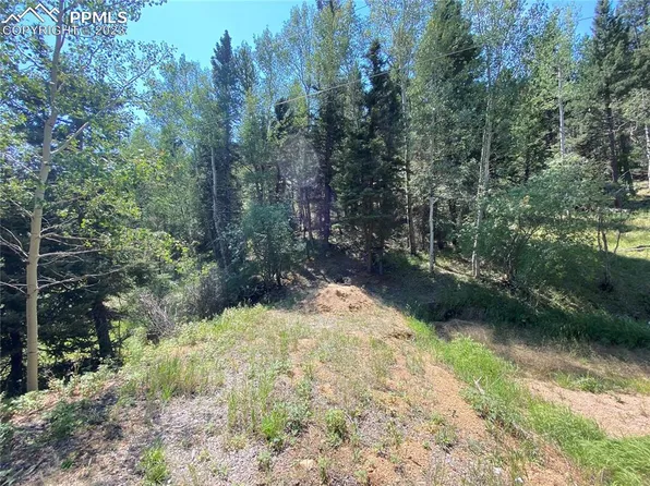 286 Coffee Pot Rd, Manitou Springs, CO 80829