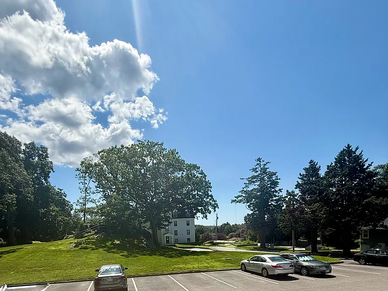 Parking in the front yard