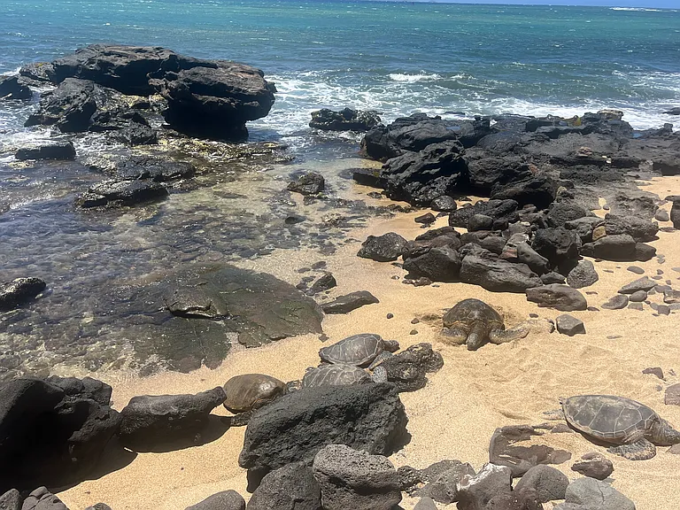 4057 Lower Honoapiilani Rd — Photo 30