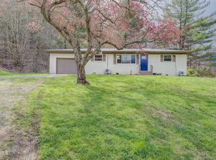 110 Blankenship Rd, Flag Pond, TN 37657