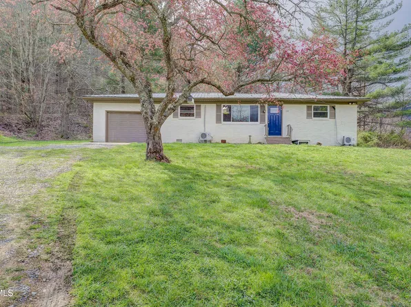 110 Blankenship Rd, Flag Pond, TN 37657