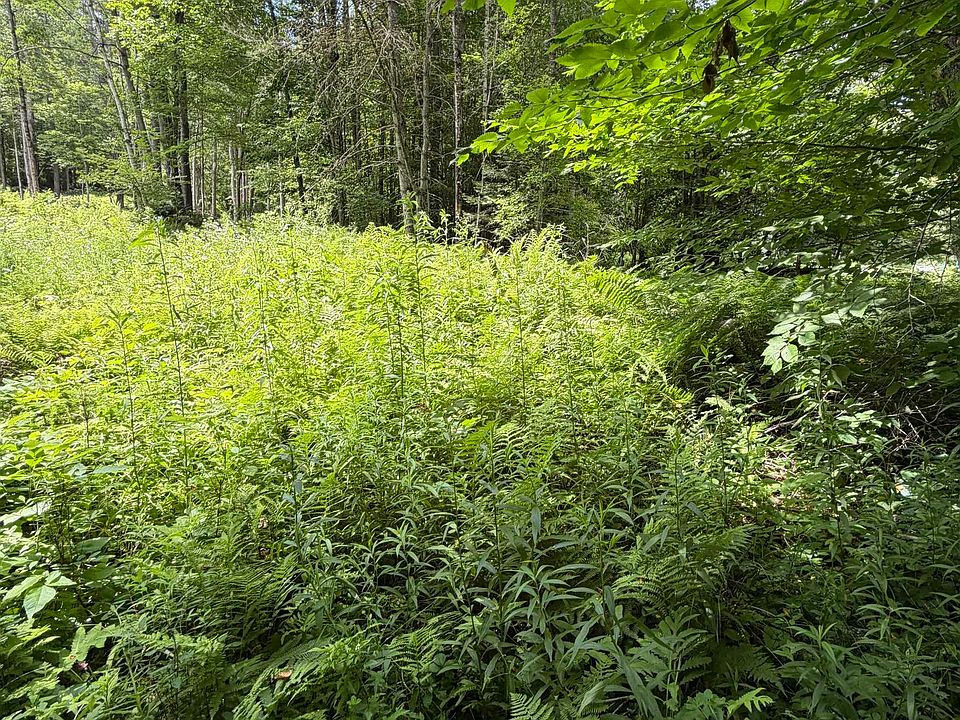1st image of 100 Ledge Road