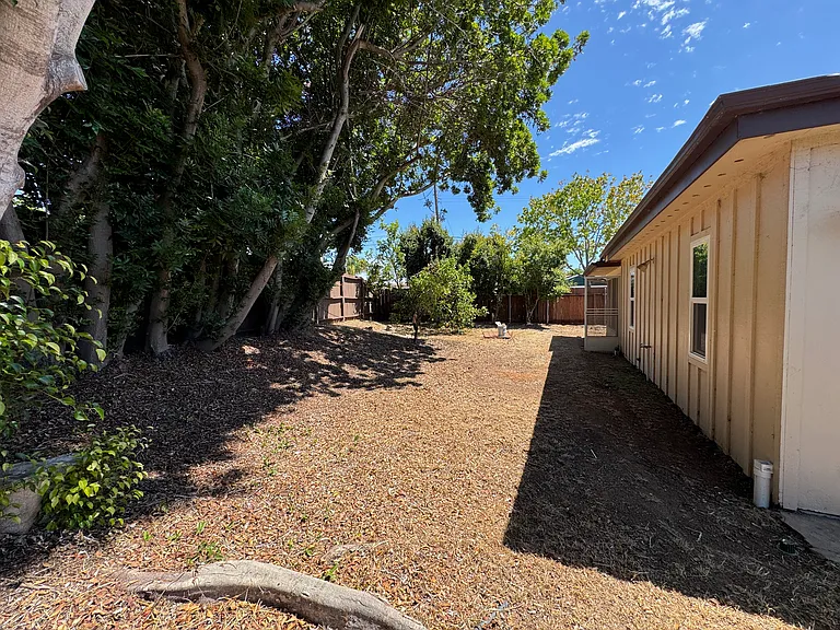4442 Cannington Dr — Photo 33