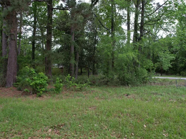 681 Plum Tree, Livingston, TX 77351