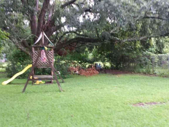 4th image of 1317 Horseshoe Dr