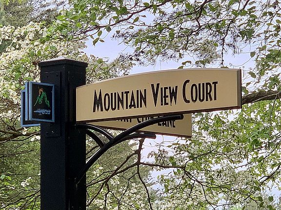 Mountain View Court