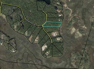LOT 233 Refuge Way NE, Townsend, GA 31331