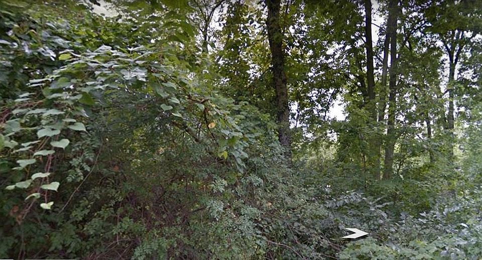 2nd image of 3216 Byrd Dr