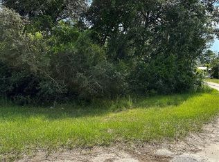26240 Bay Tree Ln, Paisley, FL 32767