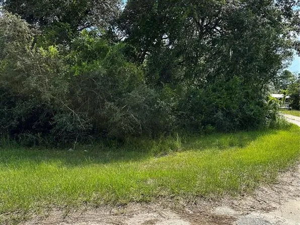 26240 Bay Tree Ln, Paisley, FL 32767