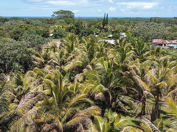 2nd image of 23rd Avenue Naupaka Lot 1171