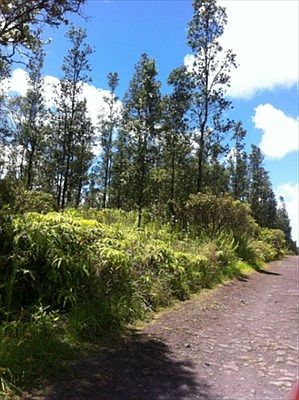 2nd image of Road 7 Opeapea Lot 4631