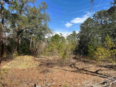 7476 Wren Dr, Tallahassee, FL, 32310