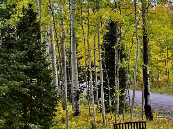 LOT 58 Fox Farm Rd Lot 58, Telluride, CO 81435