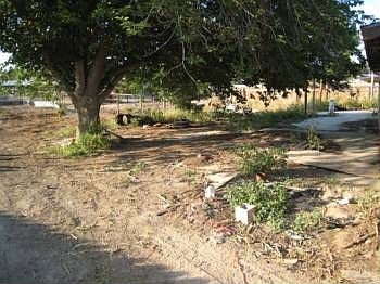 2nd image of 27510 Pine St