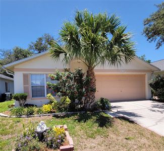 7805 Barclay Rd, New Port Richey, FL, 34654